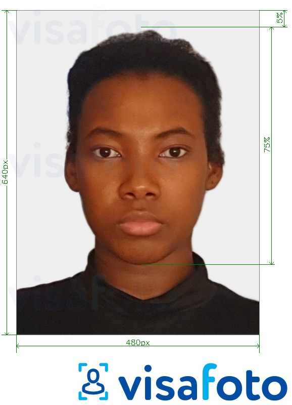 Приклад фотографії для Паспорт Багамських островів 480x640 пікселів з точними специфікаціями розміру