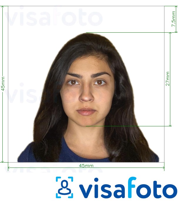 Приклад фотографії для Паспорт Чилі 4,5х4,5 см з точними специфікаціями розміру