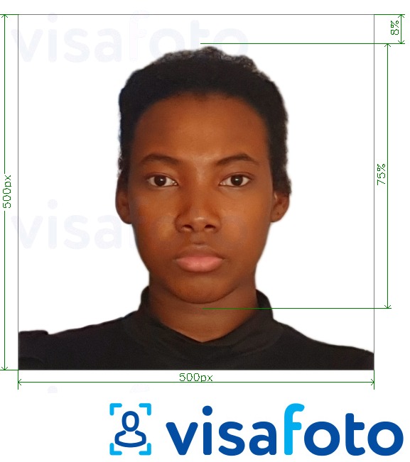 Приклад фотографії для Віза Камерун онлайн 500x500 px з точними специфікаціями розміру