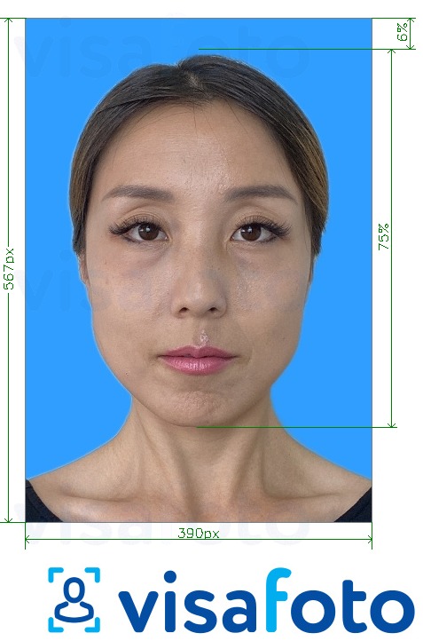 Приклад фотографії для Тест на власність Putonghua 390x567 пікселів синій фон з точними специфікаціями розміру