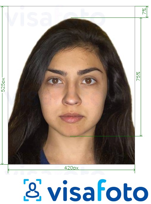 Приклад фотографії для Індія онлайн водійські права 420x525 пікселів з точними специфікаціями розміру