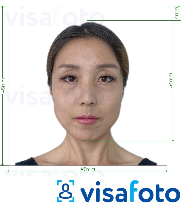 Приклад фотографії для Японія Visa 45x45мм, головка 34 мм з точними специфікаціями розміру