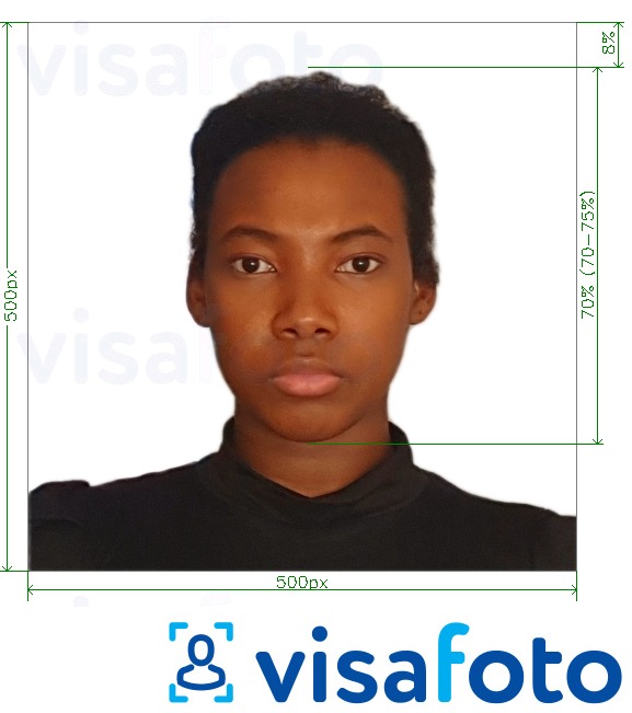 Приклад фотографії для Кенія e-visa онлайн 500x500 пікселів з точними специфікаціями розміру