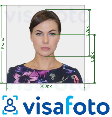 Приклад фотографії для Ідентифікаційна картка університету Міллерсвіля 300x300 px з точними специфікаціями розміру
