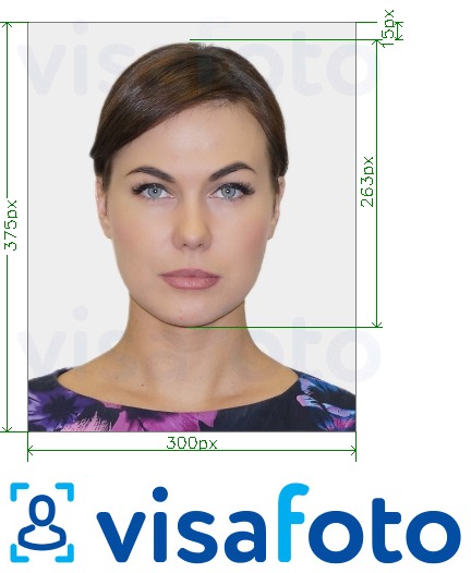 Приклад фотографії для Американський університет Одна картка 300x375 пікселів з точними специфікаціями розміру